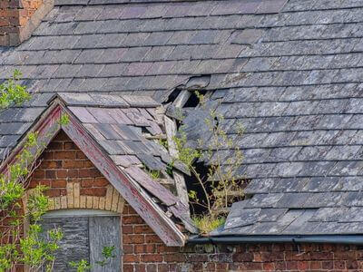 Professional water damage restoration services in Franklin